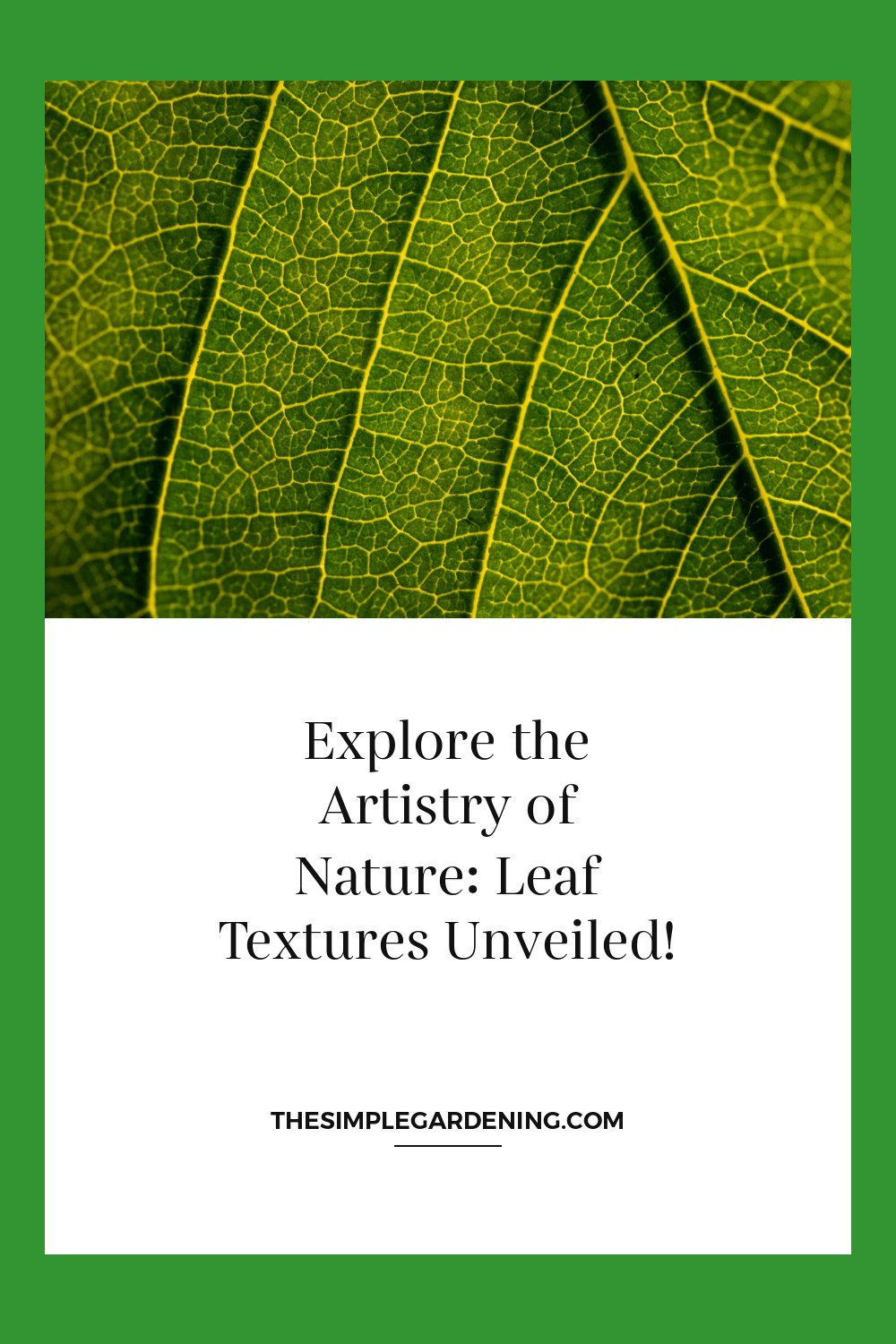 Explore the Artistry of Nature: Leaf Textures Unveiled!